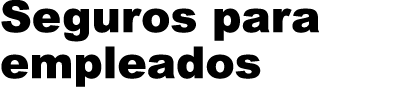 Seguros para empleados 