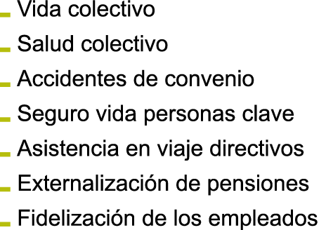 Vida colectivo Salud colectivo Accidentes de convenio Seguro vida personas clave Asistencia en viaje directivos Exter   