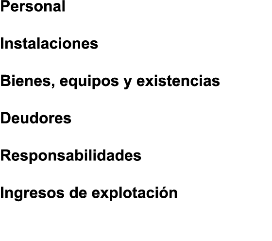 Personal Instalaciones Bienes  equipos y existencias Deudores Responsabilidades Ingresos de explotaci n