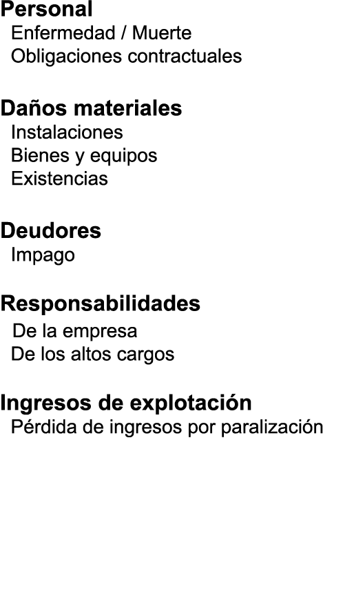 Personal  Enfermedad   Muerte  Obligaciones contractuales Da os materiales  Instalaciones  Bienes y equipos  Existenc   