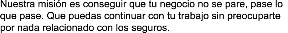 Nuestra misi n es conseguir que tu negocio no se pare  pase lo que pase  Que puedas continuar con tu trabajo sin preo   