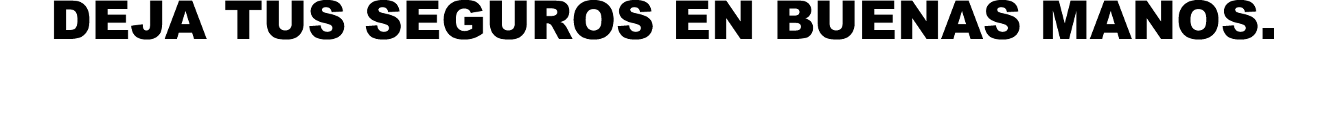 DEJA TUS SEGUROS EN BUENAS MANOS  