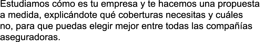 Estudiamos c mo es tu empresa y te hacemos una propuesta a medida  explic ndote qu  coberturas necesitas y cu les no    