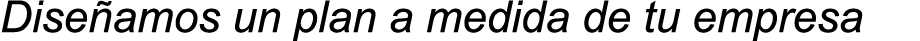 Dise amos un plan a medida de tu empresa