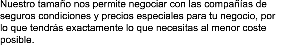 Nuestro tama o nos permite negociar con las compa  as de seguros condiciones y precios especiales para tu negocio  po   