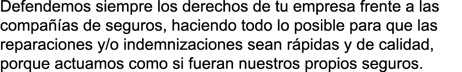 Defendemos siempre los derechos de tu empresa frente a las compa  as de seguros  haciendo todo lo posible para que la   