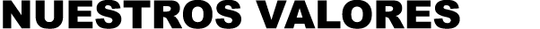 NUESTROS VALORES